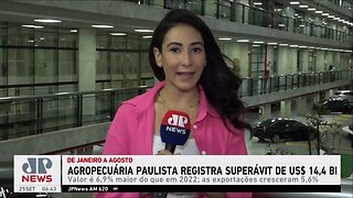 Agronegócio paulista tem superávit de US$ 14,4 bilhões em 2023
