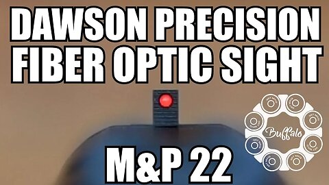 Dawson Precision Fiber Optic Sight / M&P 22