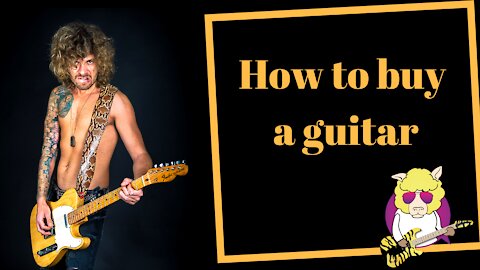 Mr. Sheep's Guitar Lessons 🎸 How to Buy a Guitar