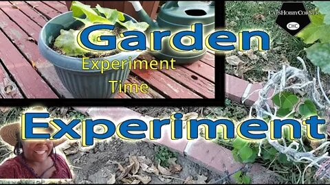 Experiment Time In the Garden