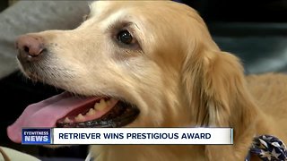 For first time ever, local therapy dog claims prestigious award