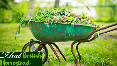 Plant Chores: Watering, weeding and Pest Control: Allotment Garden