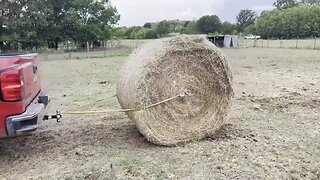 One man moving hay with a truck