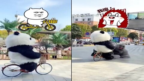 Comedy 🐼 panda video 😹😀 memes video 😆🤣