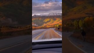 Driving into a sea of gold 🍂 fall in Colorado in unmatched.😱 #shorts