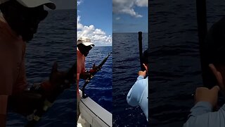 Catching the GoldFish of the Sea🤩 #Fishing #Florida #Goldfish #QueenSnapper #Deepdrop #DeepSea