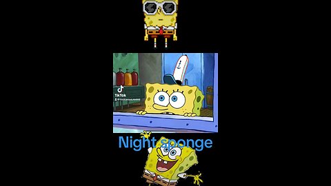 Night sponge