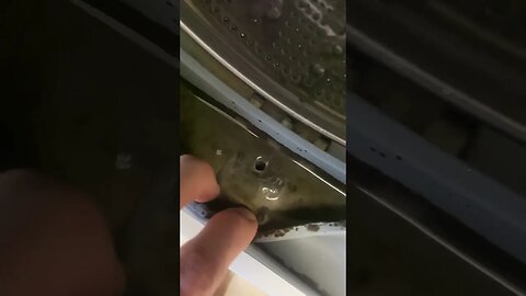 How to unclog the drain in the door gasket on a front load washer