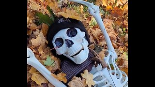 Where's Dad? 💀🍂😄