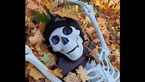 Where's Dad? 💀🍂😄