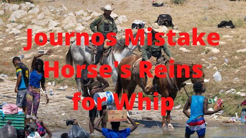 Journos Mistake Horse Reins for Whip