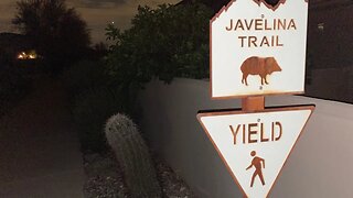 JAVELINA(74 Gematria)🐖🌵TRAIL(60💎) = 134(New Yorker)🛕NORTH(75 🪄) SCOTTSDALE(118 The Storm) = 193