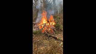 Cleaning up deadfall