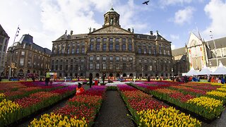 The Netherlands' Flower Industry Is Suffering Amid Coronavirus