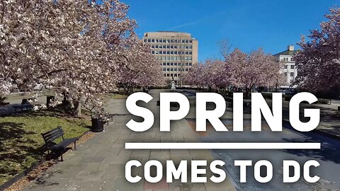 D.C. is blooming so we go hiking around the Fed, White House and a quiet garden.