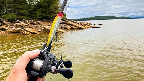 This bait has RULED Spring Bass Fishing!