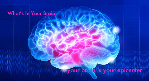 What's In Your Brain