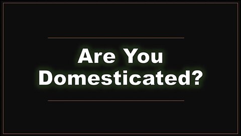 Are You Domesticated - Pastor Ben (The Lampstand - Victoria)