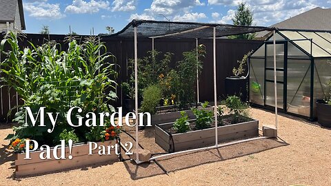 Creating a Garden Area Part 2 #texasgardening #gardeningforbeginners #backyardgardening