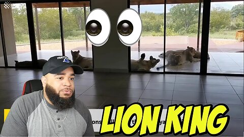Top 10 Wild Animals Invading Homes Lion King Edition 🤣