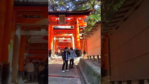 Inside Kyoto Mountain Fushimi Inari