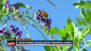 Palm Harbor woman says HOA wants to rip out garden she planted with her late partner