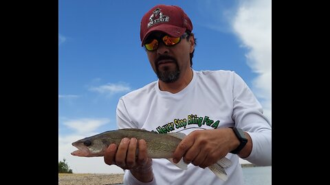 Nice Walleye on Caballo Lake NM Fishing with Gerald! - Spoonplugging