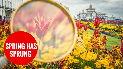 Photographer uses magnifying glass to capture flowers in their finest form