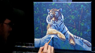 Acrylic Wildlife Painting of a Tiger - Time Lapse - Artist Timothy Stanford