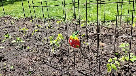 Planting A Garden At My Mother-In-Law's House Spring 2023