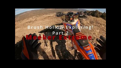 Brush Hollow - Part 2