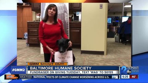 Good morning from the Baltimore Humane Society!