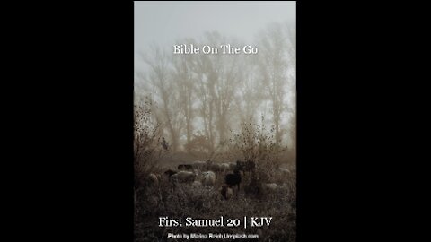 1 SAMUEL 20 | KJV
