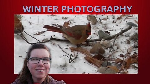 Winter Photography at Stoney Creek