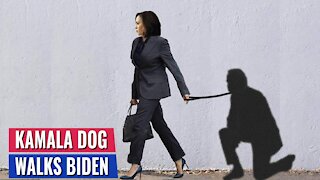 Kamala Just Insulted Joe Biden So Badly That WH Staff Are Reaching Out to Me SHOCKED