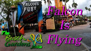 Falcon Fury Is Flying and Kumba Turning 30 - April 14, 2023