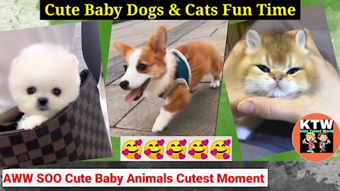 OMG! Soo Cute baby animals Cutest moment Compilation Part - 1 ♥ Best Funny Pets Videos | KTW