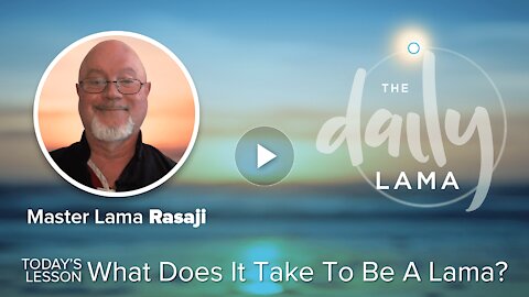 What Does It Take To Be A Lama?