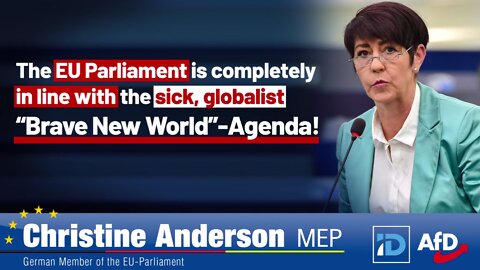 MEP Christine Anderson Smacks the EU Upside the Head for Disregarding Human Rights in the Name of Globalism