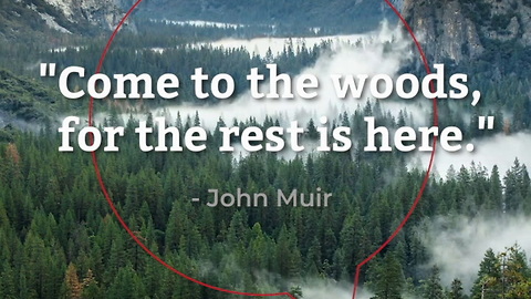 John Muir Knows Best