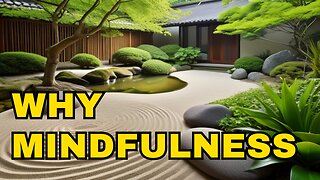 Why mindfulness | The Power of Mindfulness: Understanding Why It Matters in Modern Life