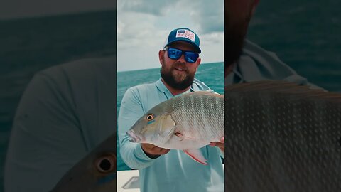 Walkers Cay, Teaser #shorts