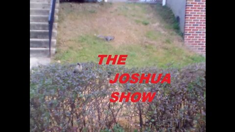 The Joshua Show - Episode 1