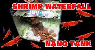 DIY Waterfall Nano Shrimp Tank