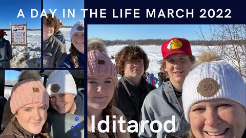 Iditarod 50th Anniversary 2022 | The Last Great Race | A Day In The Life Alaskan Modern Homestead