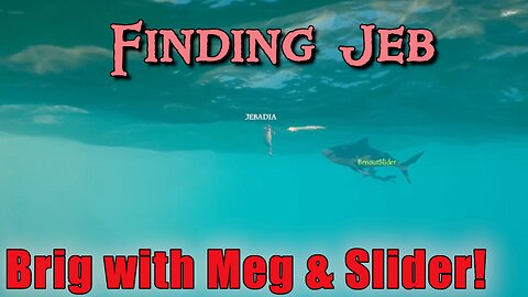 Sea of Thieves - Brig with Slider & Meg