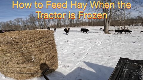 How to feed hay when the Tractor is Frozen