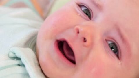 Best Videos Of Funny Twin Babies Compilation - Twins Baby Video new 2021
