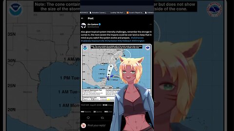 On todays Jim Cantore hurricane watch, this Vtuber asks him to stay home!