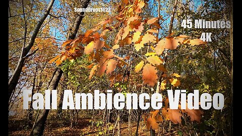 45 Minutes of Peaceful Fall Sounds